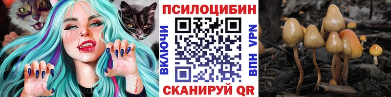Галлюциногенные грибы мухоморы  Севастополь 
